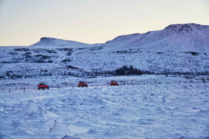 Picture 4 for Activity Reykjavik: Buggy Safari Tour with Hotel Transfers