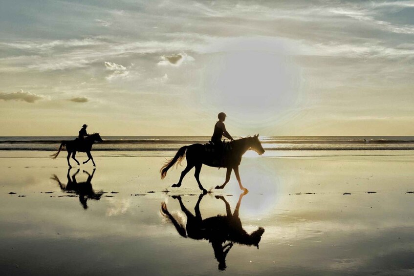 Picture 1 for Activity Agadir: Sunset Horse Riding Experience And Relaxing Massage