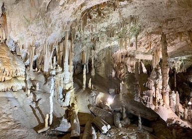 Desde Liubliana: excursión de un día a la cueva de Postojna