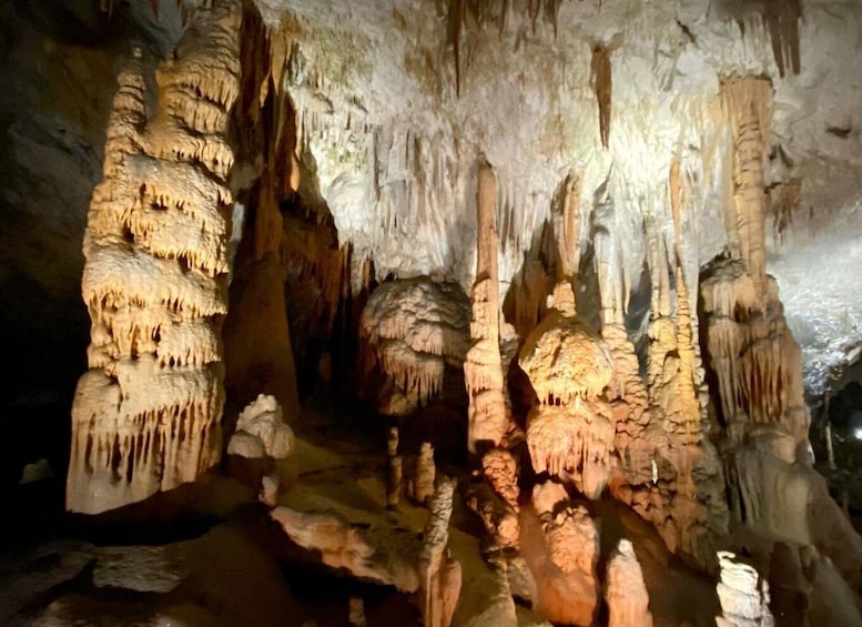 Picture 1 for Activity From Ljubljana: Postojna Cave Day Trip