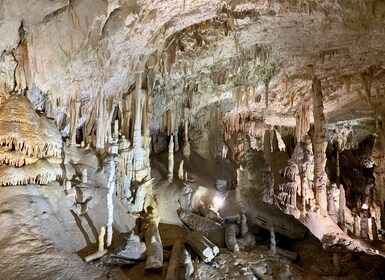 From Ljubljana: Postojna Cave Day Trip