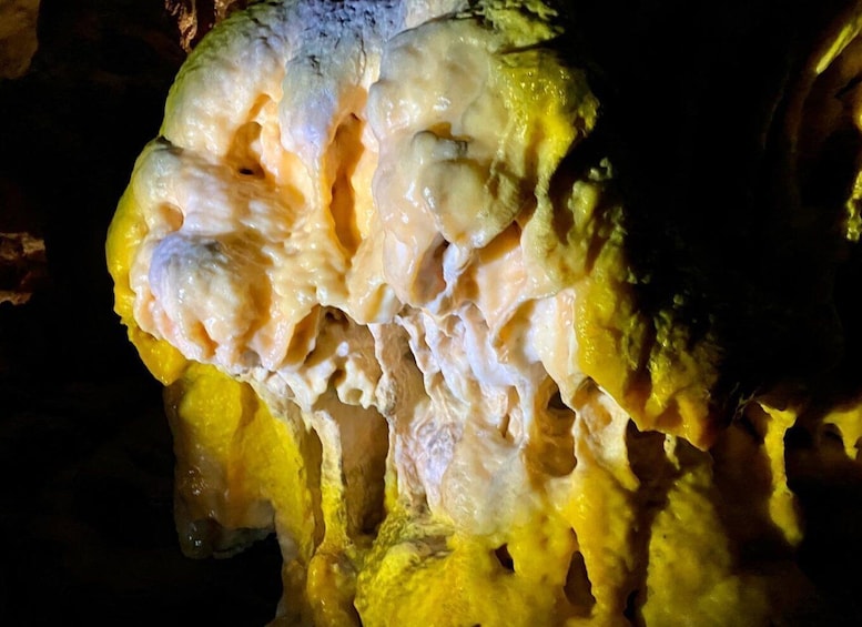 From Ljubljana: Postojna Cave Day Trip