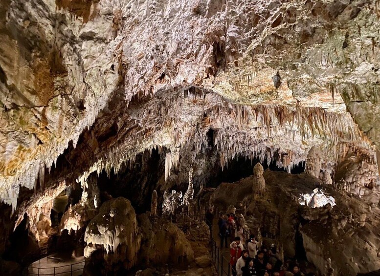 Picture 3 for Activity From Ljubljana: Postojna Cave Day Trip