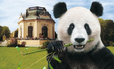 Wenen: Skip-the-line Tickets voor dierentuin Schönbrunn