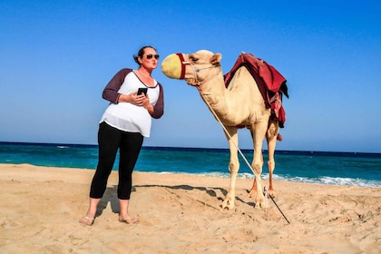 Private Half-Day Desert Safari Tour+Camel Ride