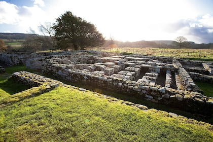 Hadrian's Wall: Chesters Roman Fort and Museum Entry Ticket