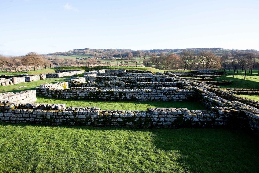 Picture 7 for Activity Hadrian's Wall: Chesters Roman Fort and Museum Entry Ticket