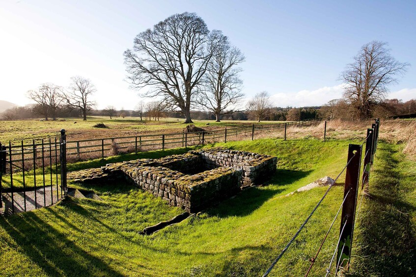 Picture 4 for Activity Hadrian's Wall: Chesters Roman Fort and Museum Entry Ticket