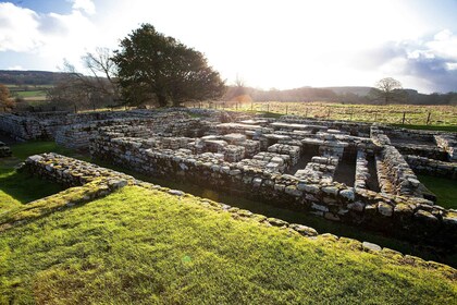 Hadrian's Wall: Eintrittskarte für das Chesters Roman Fort und das Museum