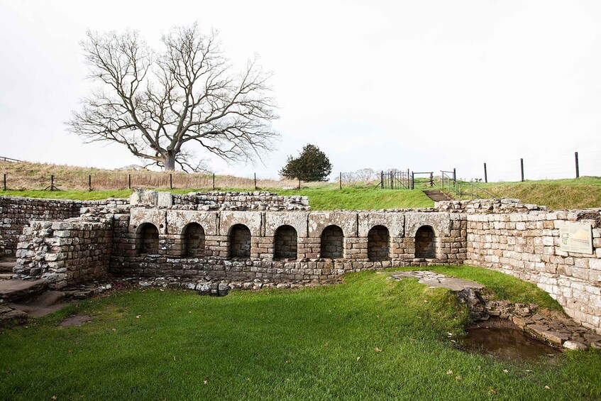 Picture 3 for Activity Hadrian's Wall: Chesters Roman Fort and Museum Entry Ticket