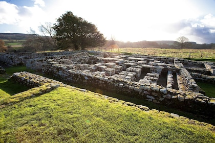 Mur d’Hadrien : Chesters Roman Fort et billet d’entrée au musée