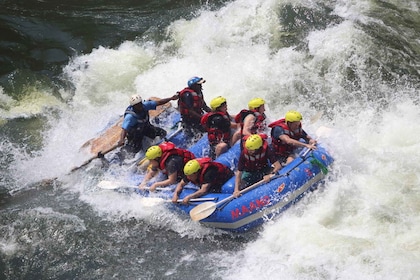 From Kasane: Full-Day White Water Rafting