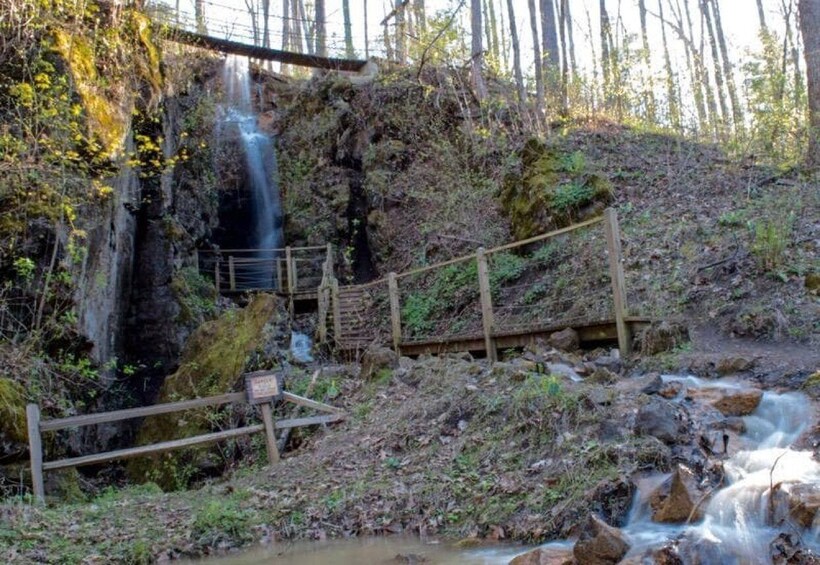 Picture 4 for Activity Foxfire Mountain: Hiking & Swinging Bridge Family Adventure