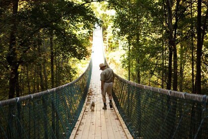 Foxfire Mountain: Familienabenteuer mit Wanderung und schwingender Brücke