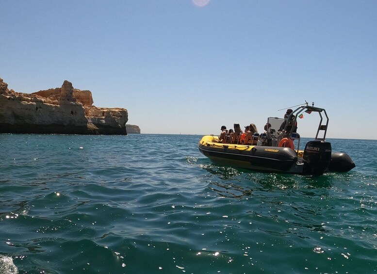 Picture 5 for Activity Portimão: 2-Hour Dolphin Watching Boat Tour