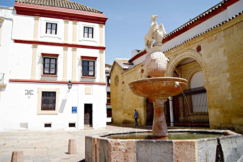 Picture 7 for Activity From Granada: Cordoba and Mezquita Full Day Tour