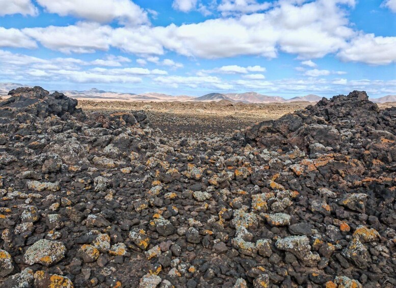 Picture 4 for Activity Fuerteventura: volcanic hike to the crater edge