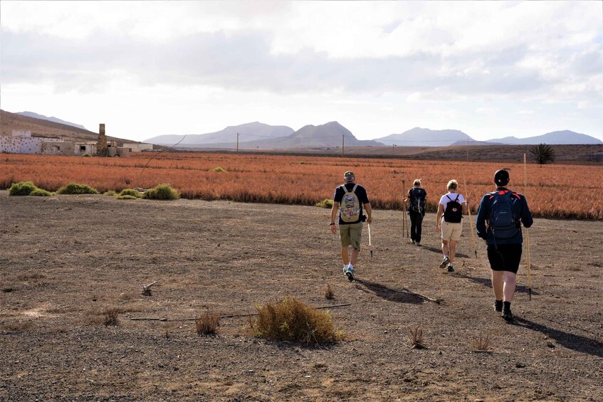 Picture 1 for Activity Fuerteventura: volcanic hike to the crater edge