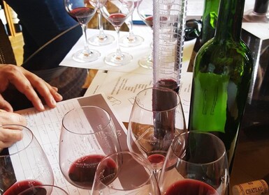 Distillerie de Cognac et vignobles de Bordeaux : Visite privée