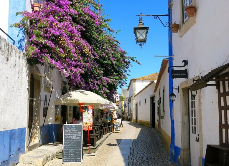 Picture 5 for Activity From Lisbon: Fátima, Óbidos Medieval, Nazaré Atlantic Coast