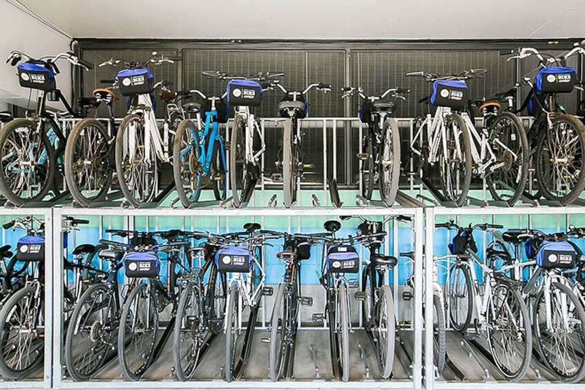 Picture 7 for Activity Santa Monica: Full Day Bike Rental