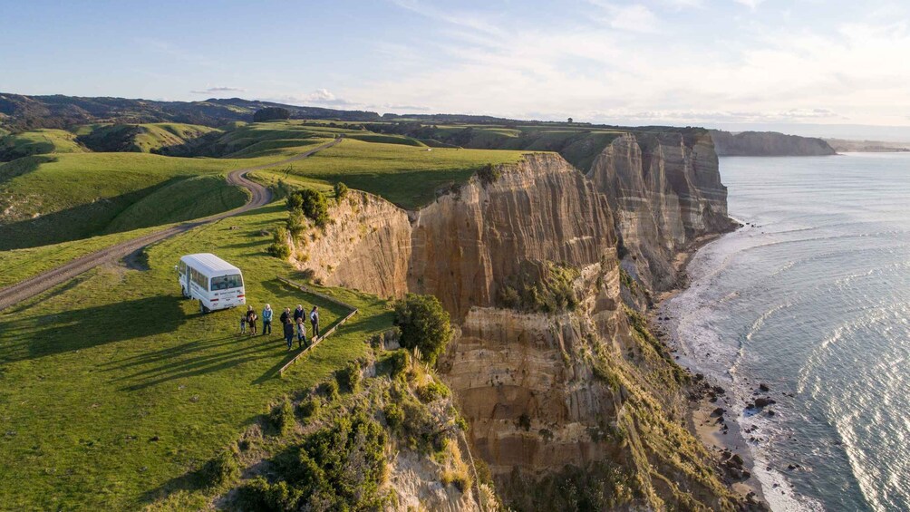 Picture 1 for Activity Napier: Cape Kidnappers Gannet, Nature & Sightseeing Tour