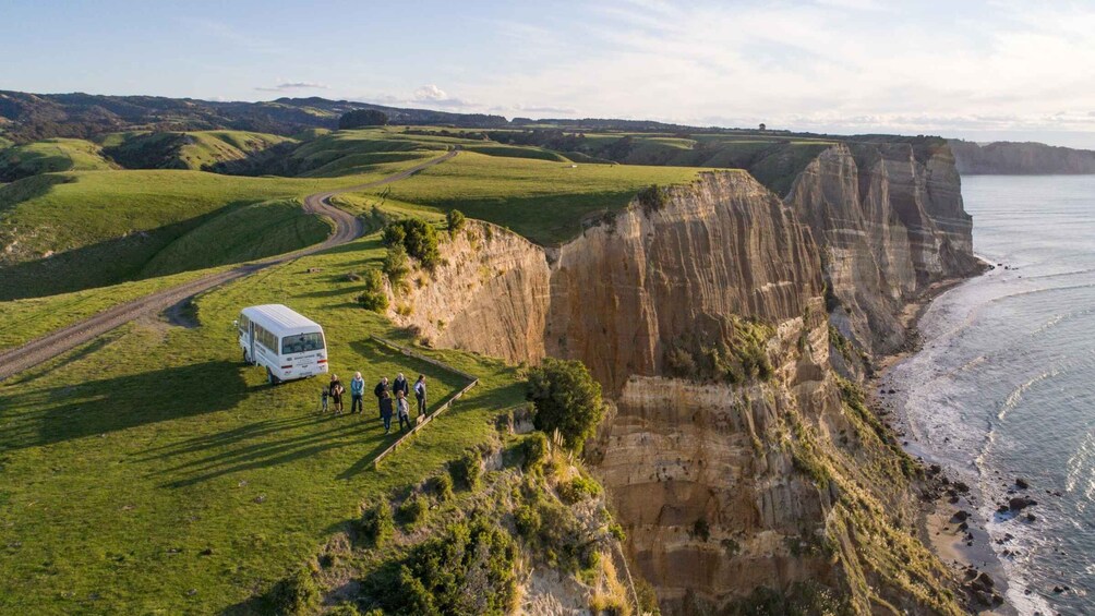 Picture 1 for Activity Napier: Cape Kidnappers Gannet, Nature & Sightseeing Tour