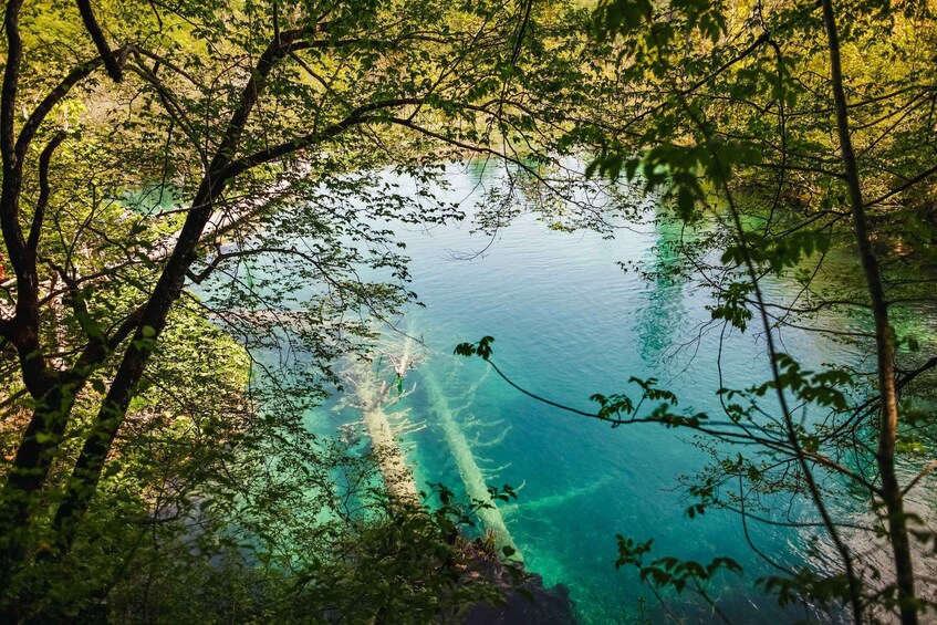 Picture 19 for Activity From Split or Trogir: Plitvice Lakes Tour with Entry Tickets