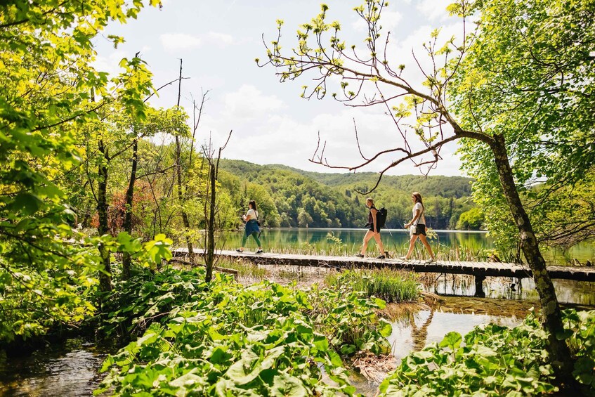 Picture 14 for Activity From Split or Trogir: Plitvice Lakes Tour with Entry Tickets