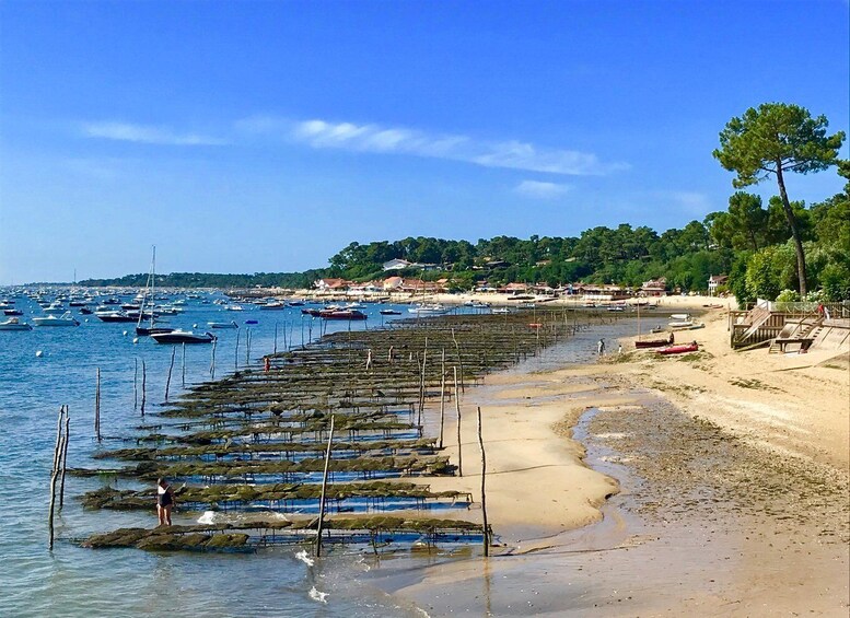 Picture 7 for Activity Bay of Arcachon: Guided Food Tour