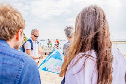 Baai van Arcachon: Voedsel Tour met gids