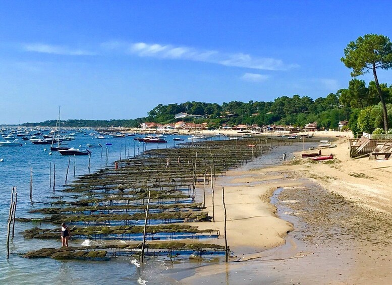 Picture 7 for Activity Bay of Arcachon: Guided Food Tour