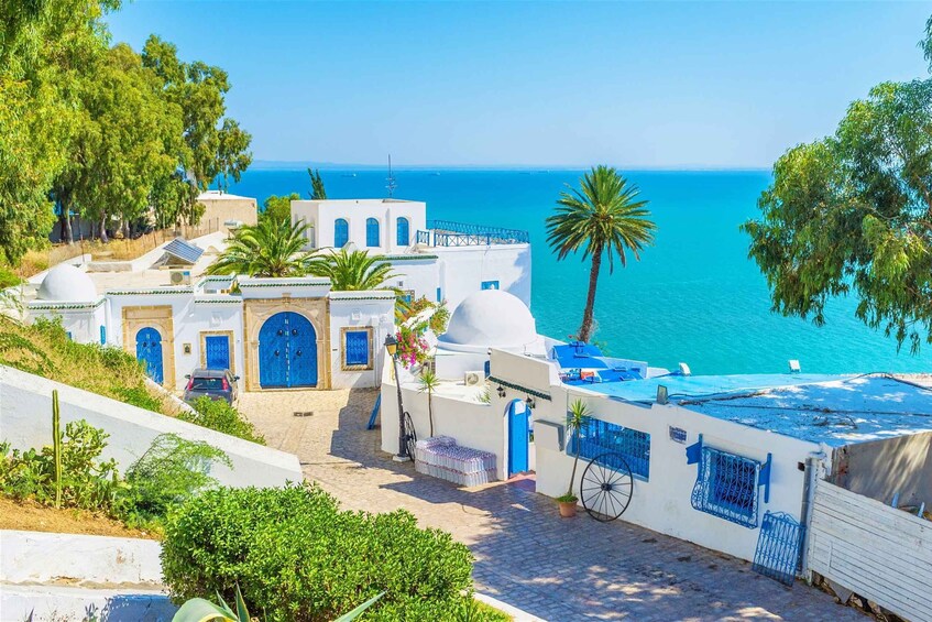 From Tun or Hammamet: Day Trip to Sidi Bou Saïd and Carthage