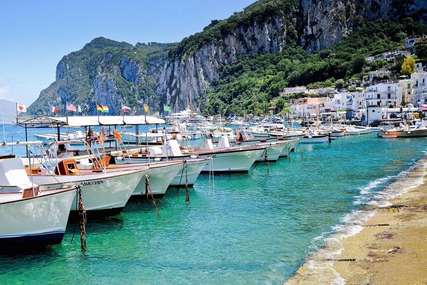 Picture 5 for Activity From Sorrento or Naples: Capri Full-Day Private Tour