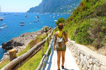 Da Sorrento o Napoli: tour privato di un'intera giornata a Capri