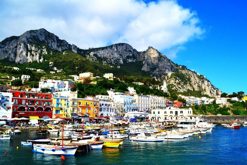 Picture 5 for Activity From Sorrento or Naples: Capri Full-Day Private Tour