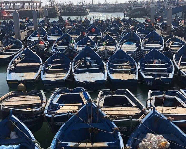 Picture 6 for Activity Essaouira: Private City Tour