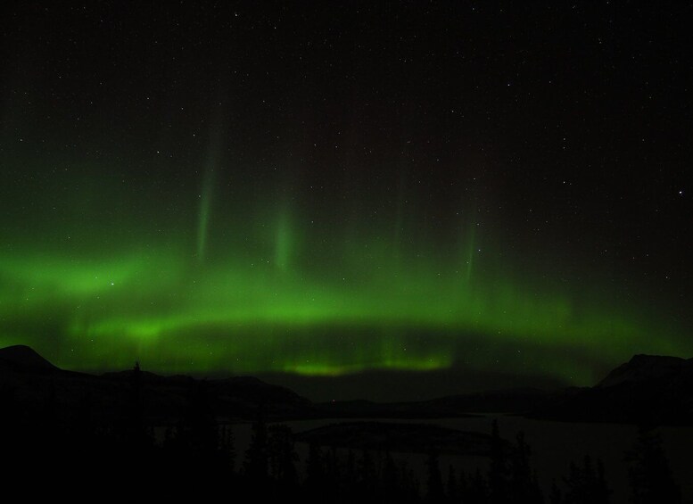 Picture 11 for Activity Whitehorse: Nighttime Northern Lights Viewing