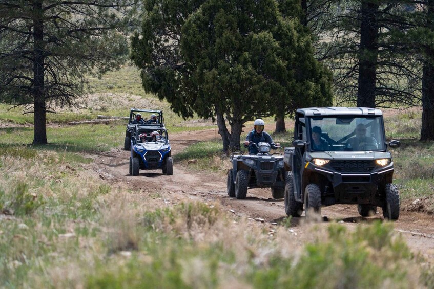Picture 2 for Activity Bryce Canyon City Guided ATV/RZR Tour