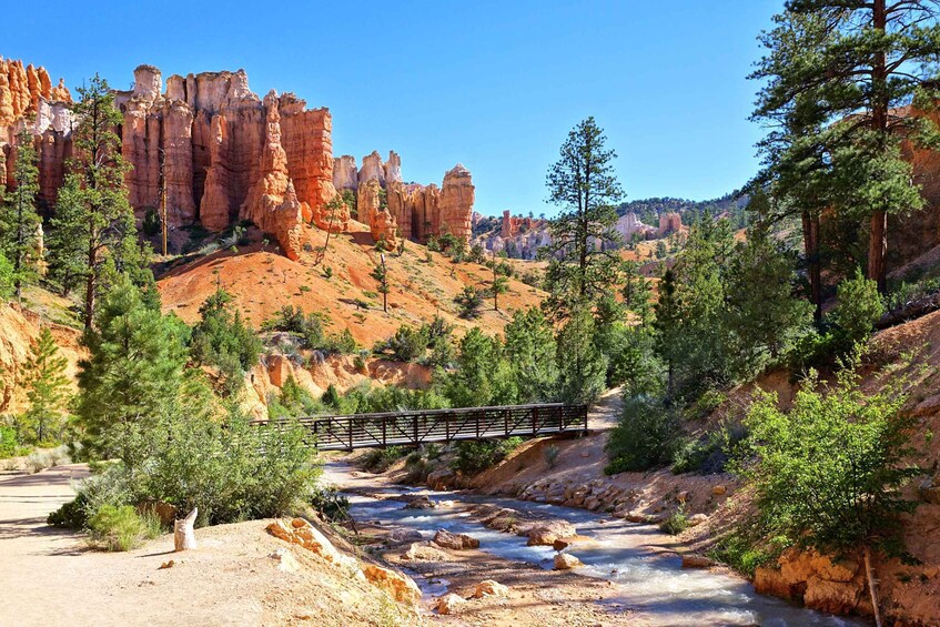 Picture 2 for Activity Bryce Canyon National Park: Guided ATV/RZR Tour