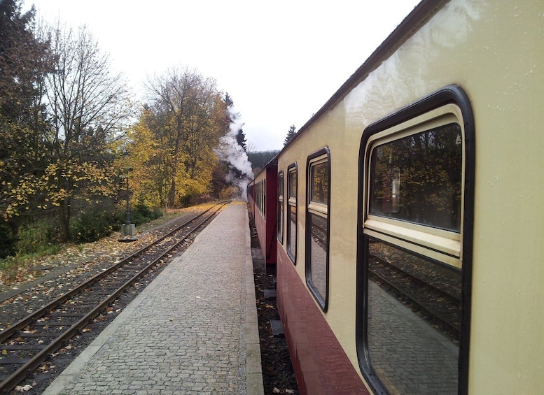 Picture 3 for Activity Harz Mountains Day Trip