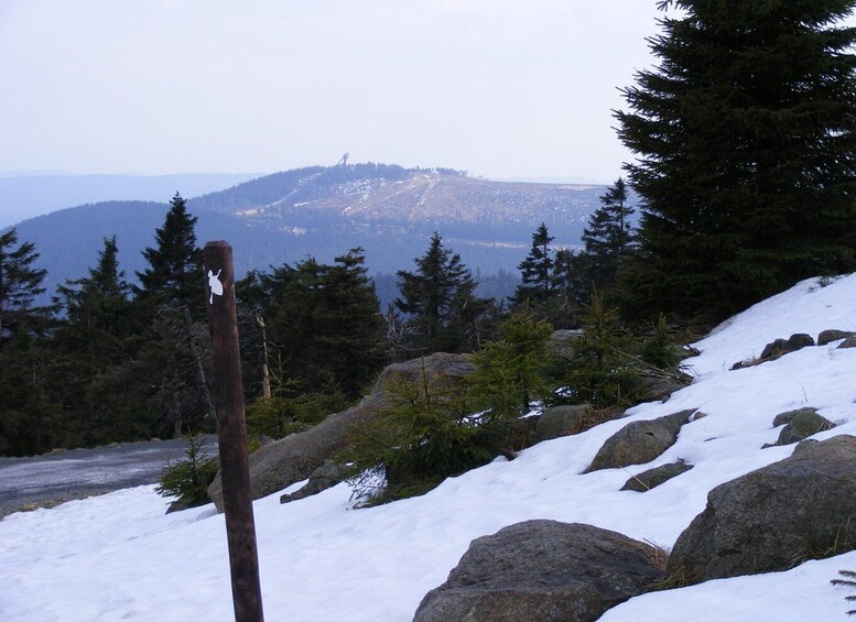 Picture 4 for Activity Harz Mountains Day Trip