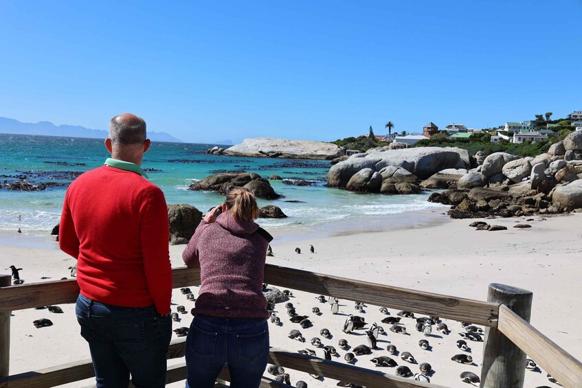 Picture 5 for Activity Cape Town: Penguin Watching at Boulders Beach Half Day Tour