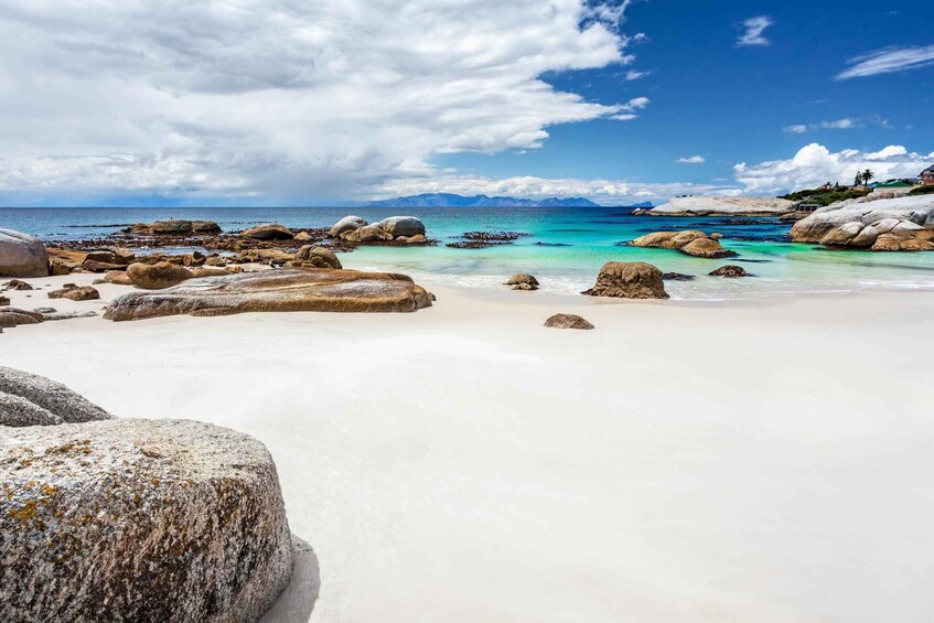 Picture 9 for Activity Cape Town: Penguin Watching at Boulders Beach Half Day Tour