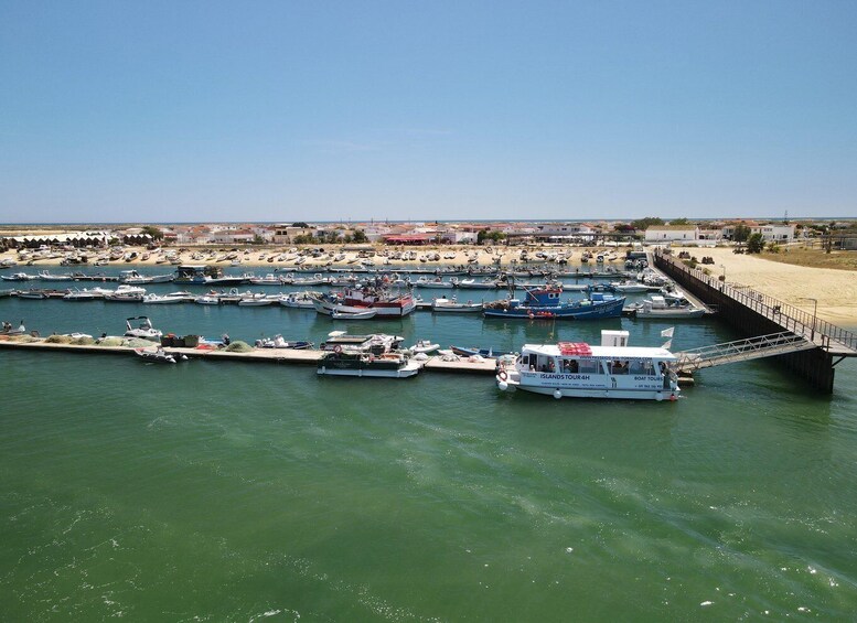 Picture 2 for Activity Olhão: 4-Hour Ria Formosa Islands Tour