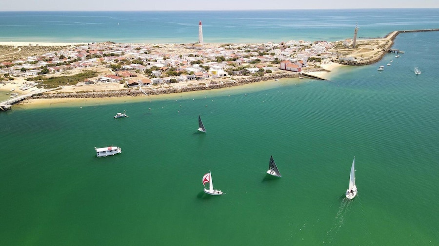 Olhão: 4-Hour Ria Formosa Islands Tour