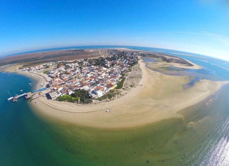 Picture 4 for Activity Olhão: 4-Hour Ria Formosa Islands Tour