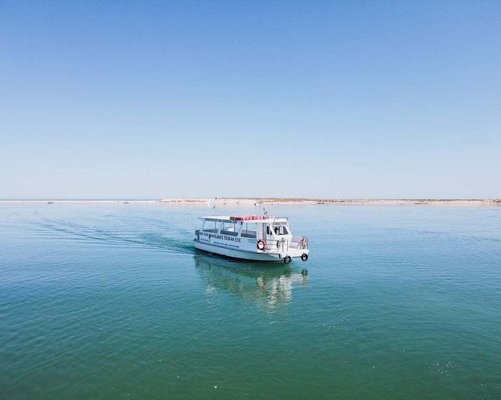 Picture 3 for Activity Olhão: 4-Hour Ria Formosa Islands Tour