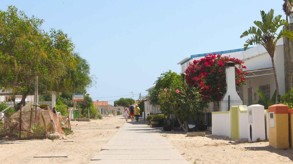 Picture 10 for Activity Olhão: 4-Hour Ria Formosa Islands Tour