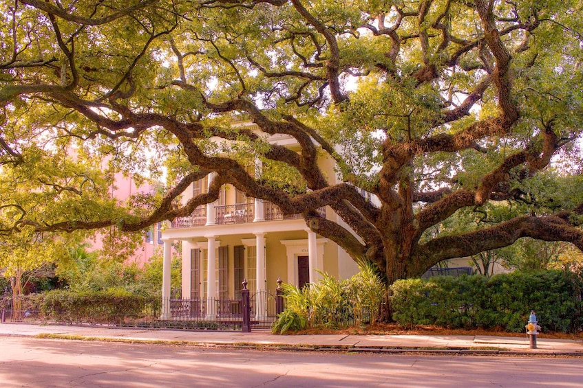 New Orleans Garden District Tour